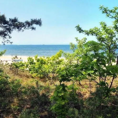 In Mi Dzyzdroje Near Sandy *